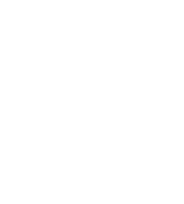 RiCapital logo